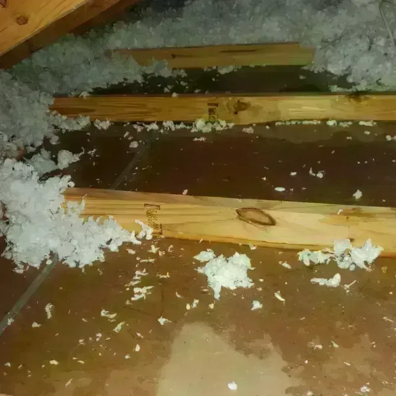 Attic Water Damage in Albany, LA