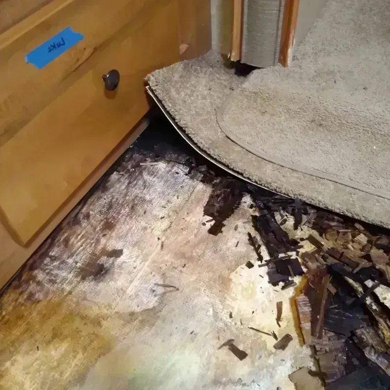 Wood Floor Water Damage in Albany, LA